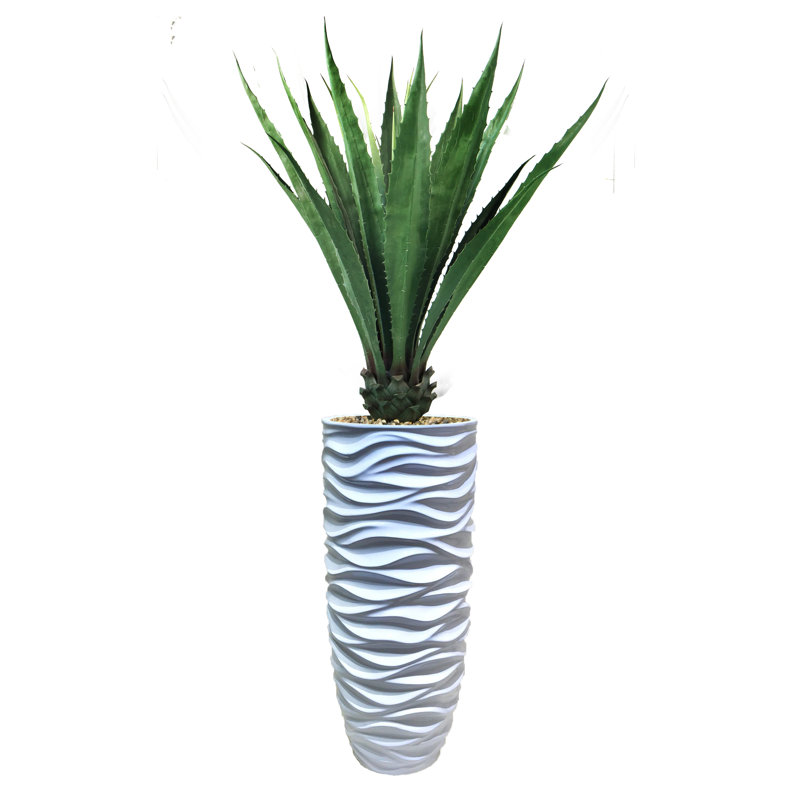 Agave d'intérieur / extérieur Panama en pot, H 73 po x l 36 po x P 36 po, Vert foncé