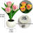 Tulip Lamp