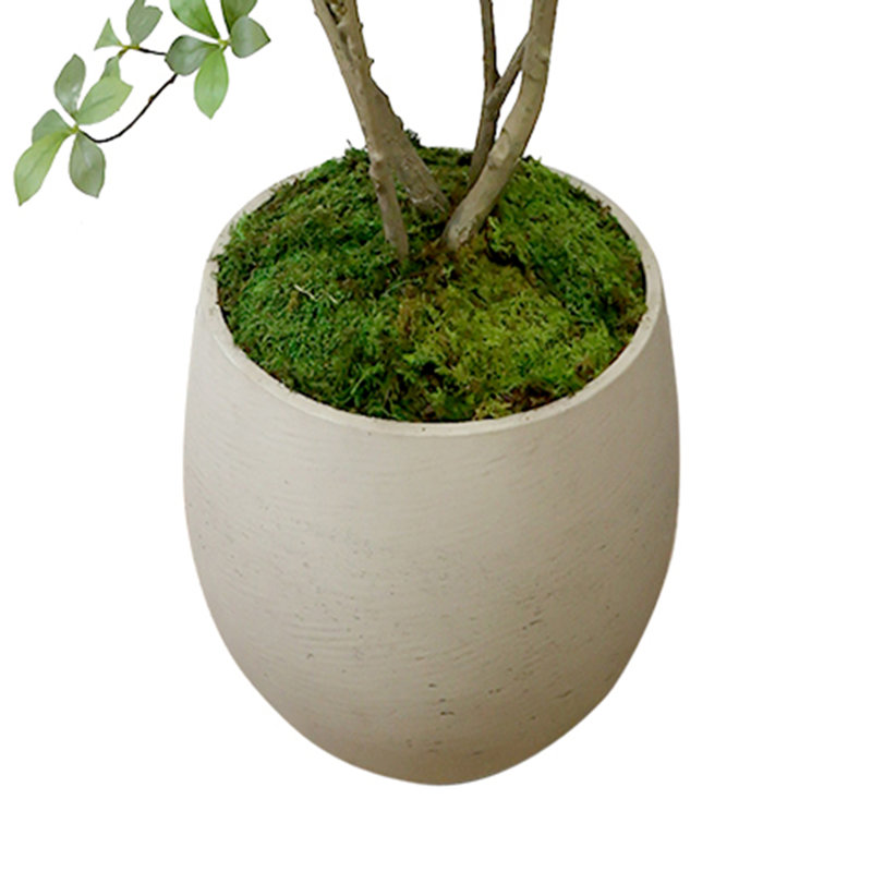 Bonsai en pot de fibres