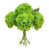Green selected