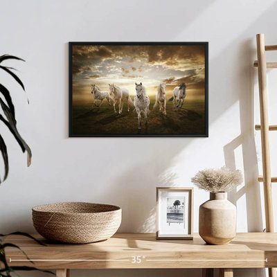 Chevaux blancs dramatiques