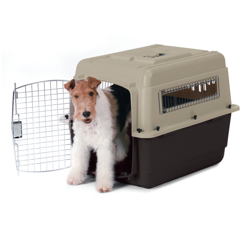 Plastic Pet Carrier with 1 Door, 21.5" H x 20.5" W x 28" D