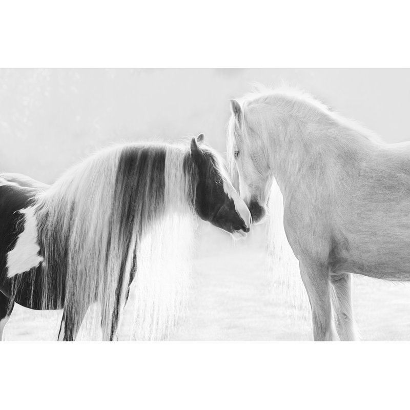 Collection of Horses III par PHBurchett - impression sur toile tendue, H 8 po x l 12 po