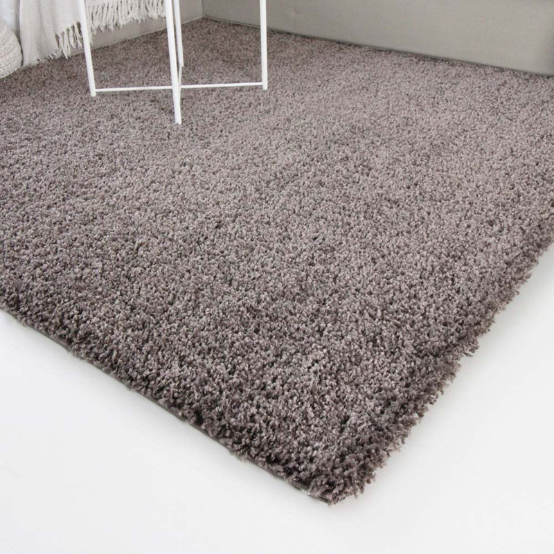 Aloysia Solid Colour Shag Area Rug, Rectangle 300 x 400cm