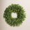 The Holiday Aisle® Norwood Fir Wreath with Twinkly LED Lights