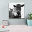  «Best Friends 2» par Decent Exposures, art mural 12 po x 12 po-1927628235