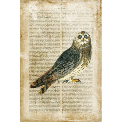 Oiseaux antiques I