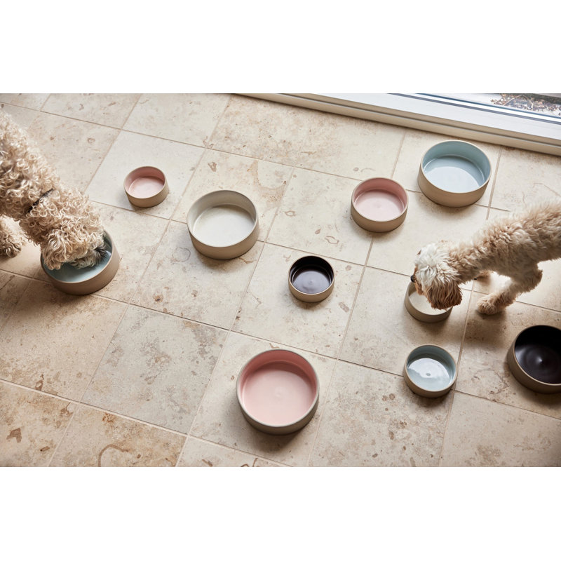Sia Dog Bowl - Small - 380Ml, Rose, Medium (3.46 cups/ 27.73 fluid oz)