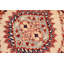 Tapis brun clair / rouge / brun en laine noué à la main 8 pi 1 po x 9 pi 10 po Damask