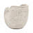 Nautilus Shell Shape Planter