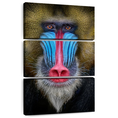 Singe Brampt
