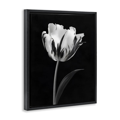 Cadre flottant noir Modern Flower Stark, design par CAD Designs