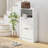 Versatile Shoe Storage Cabinet with Multiple Compartments and Stylish Design