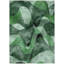 Tapis intérieur / extérieur Altair-2145959231