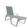 Holna Outdoor Rust-Resistant Metal Chaise Lounge