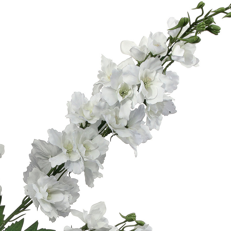 35 "Soft Touch Garden Delphinium, Blanc