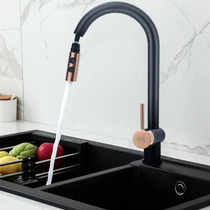 Belfry Kitchen Pull Down Kitchen Faucet