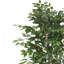 Arbre à ficus artificiel Karen avec tronc torsadé, fer en soie de polyester vert 59 pouces