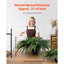 60cm Faux Fern Plant-1788137181-1788137152