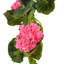 Buisson artificiel en géranium-450075433
