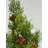 Artificial Table-Top Tree In Burlap 24In