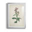 Traditional Botanical II - reproduction de cadre photo-714440254-714440253