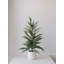 SEASONAL GREENERY TREE S/2 CEDAR POT 2FT-1604586735