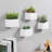 Ceramic Wall Planter