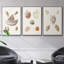 Pastel Knorr Shells VI 3 pièces-91891373-91891374