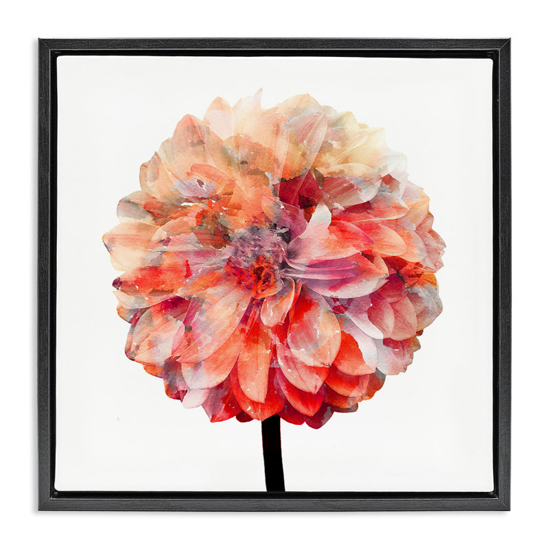 Aquarelle corail vif, H 18 po x l 18 po, Cadre flottant noir de jais