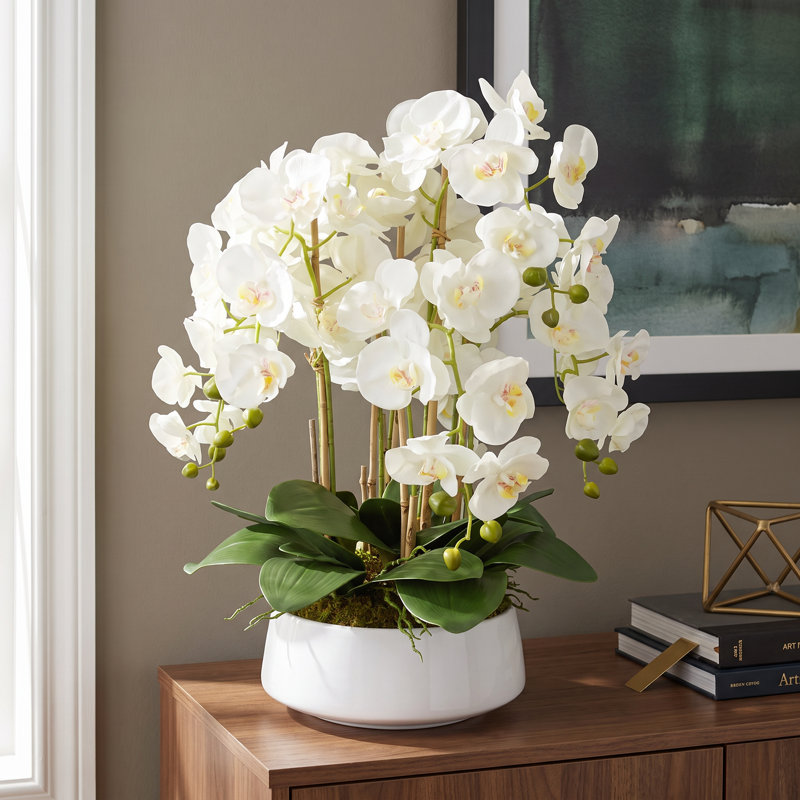 Arrangement d'orchidées Joellen