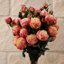 Plastic, Silk Artificial Arrangement-88685022
