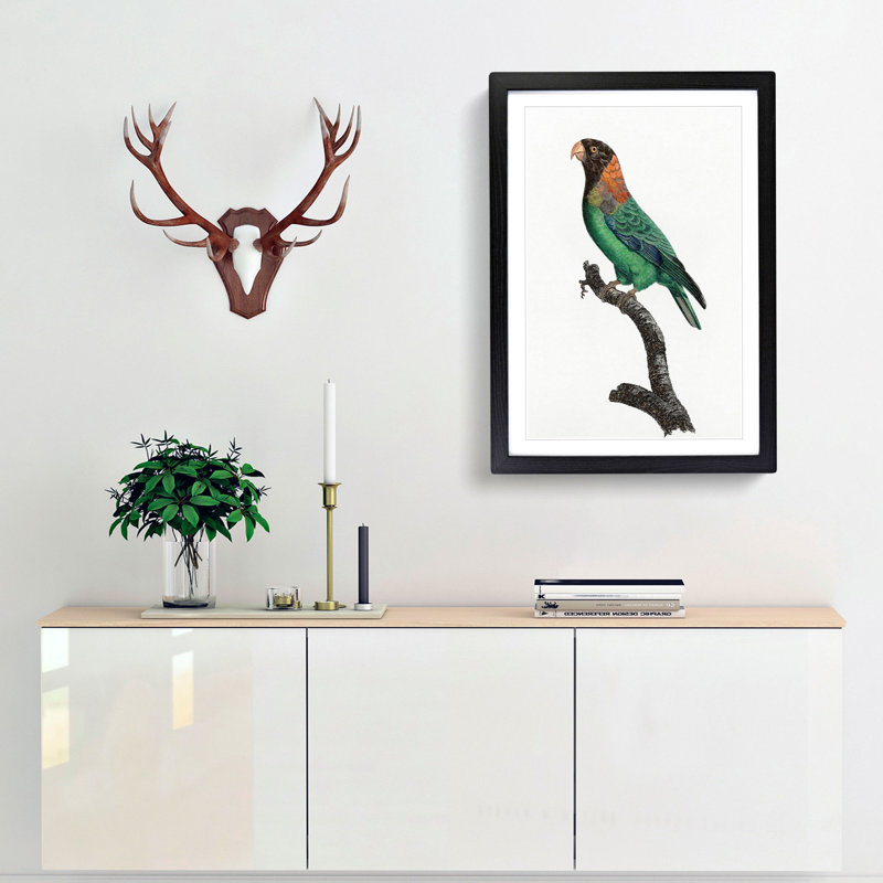 Caica Parrot by F. Levaillant - Picture Frame Painting Print, 65cm H x 48cm W x 2cm D, Black Framed