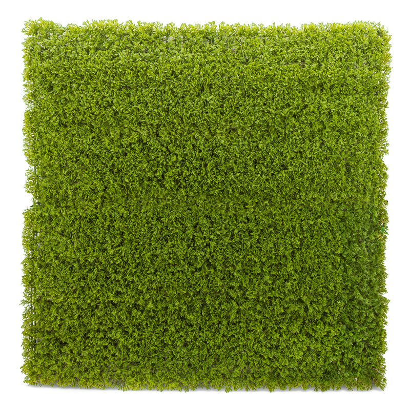 2 ft. H x 2 ft. W Polyethylene Privacy Screen