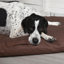 Expedition Orthopedic Polyester Pet Bed-1642055959