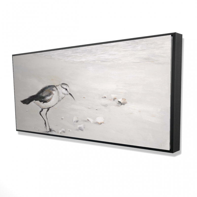 Semipalmated sandpiper - 24"x48" Framed canvas