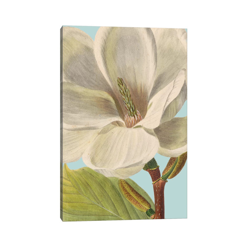 Fresh Florals I by Vision Studio - Wrapped Canvas Painting, 101.6 cm H x 66.04 cm W x 1.91 cm D