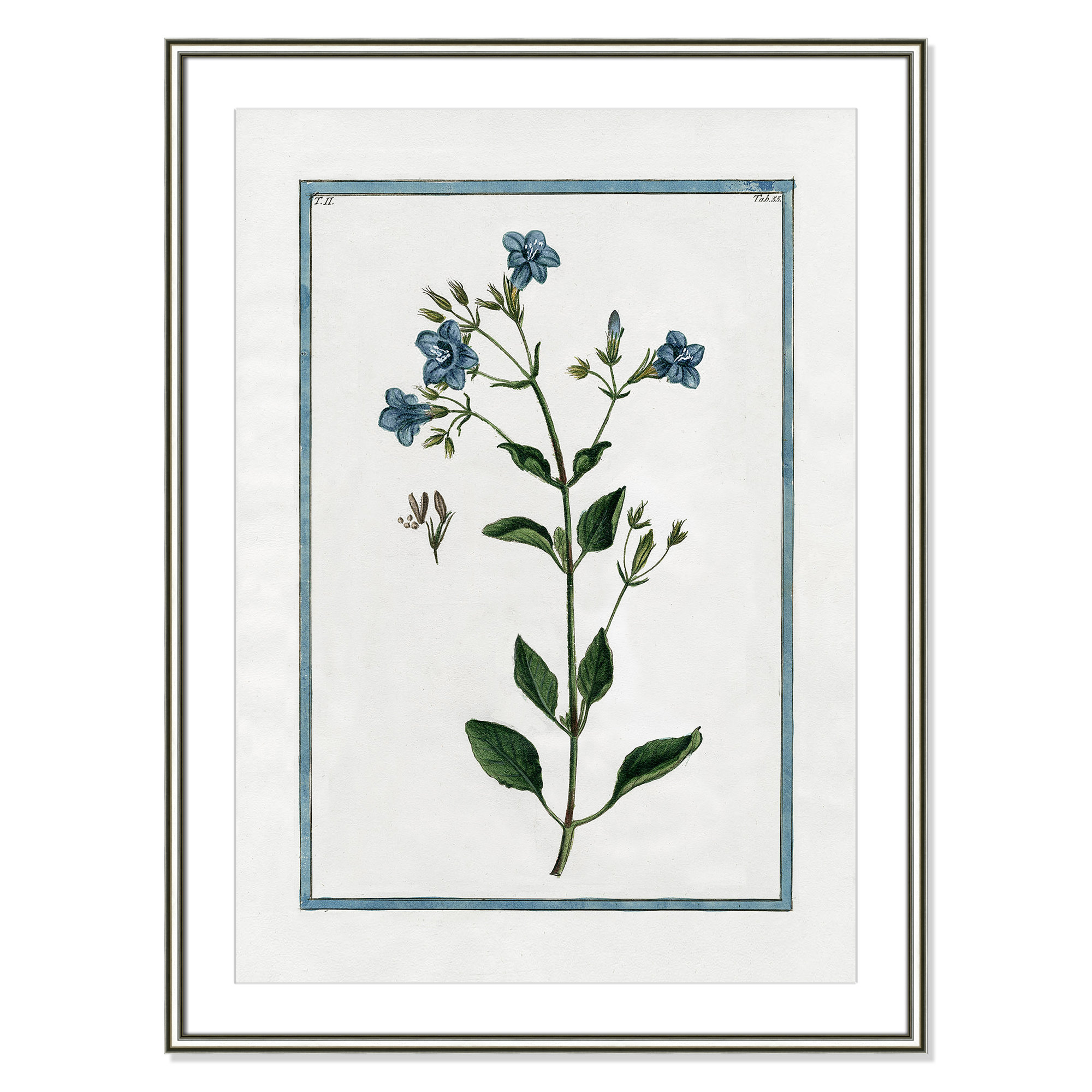 Shabby Elegance Botanical II - Framed Art, 26.75" W x 36.75" H, Silver Framed