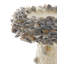 Bain d'oiseaux Oyster Shell-72168462