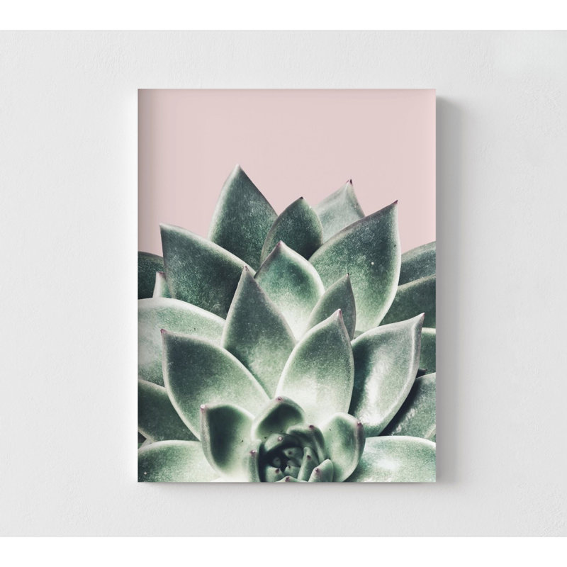 Reproduction de photographie de plante grasse, Art mural encadré, Reproduction de photographie de nature, Art succulent, Art mural encadré, Art mural surdimensionné