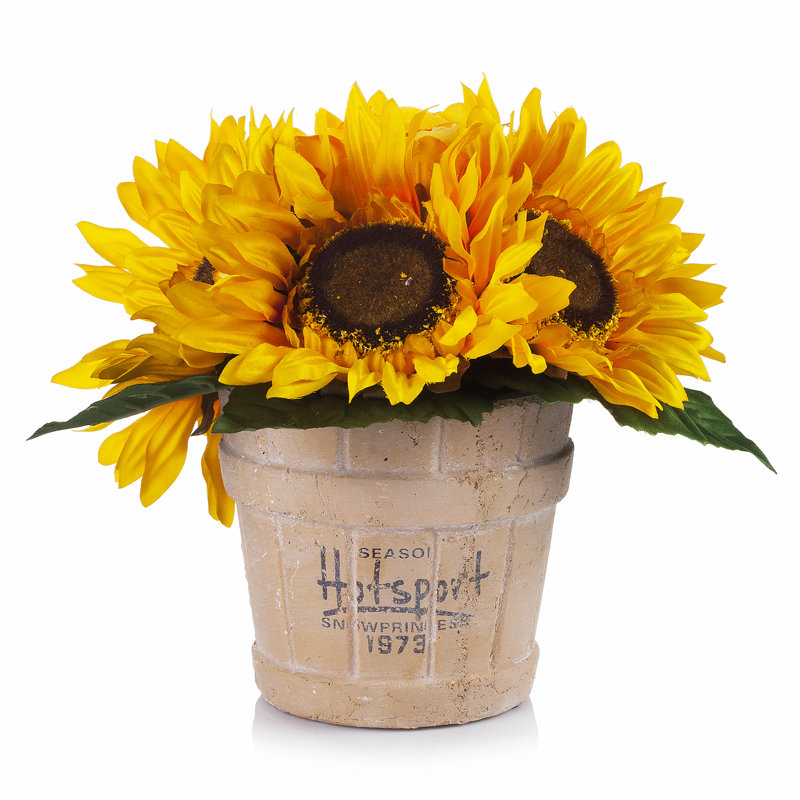 Arrangement de tournesol en pot