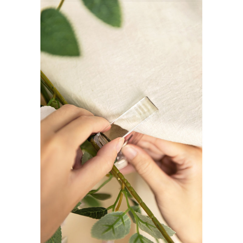 Ling's Moment, Rosé et rose