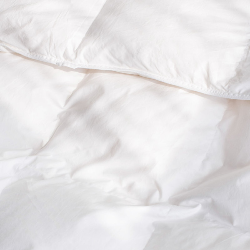 All Season Feather & Down Duvet Comforter Insert, Twin