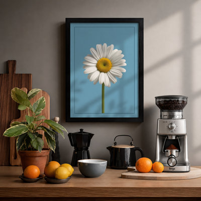 Single Daisy Study Botanical - Framed Print