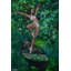 Equilibrio
