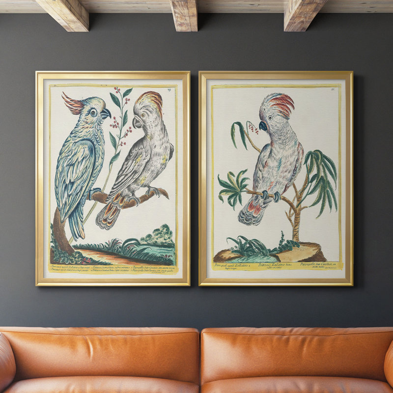 «Pastel Birds I», toile encadrée de qualité supérieure - prête à être accrochée, Or, H 41,25 po x l 61 po x P 1,25 po
