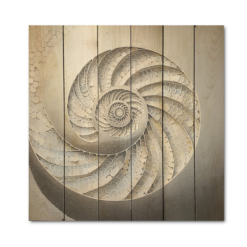 Coquillage argenté tourbillonnant I - Nautilus, art sur bois de pin naturel, H 15 po x l 15 po