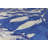 Hitomi Washable Indoor Rug-545686159