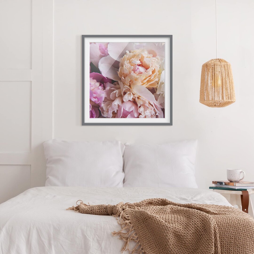 Gerahmtes Poster Flowering Peonies