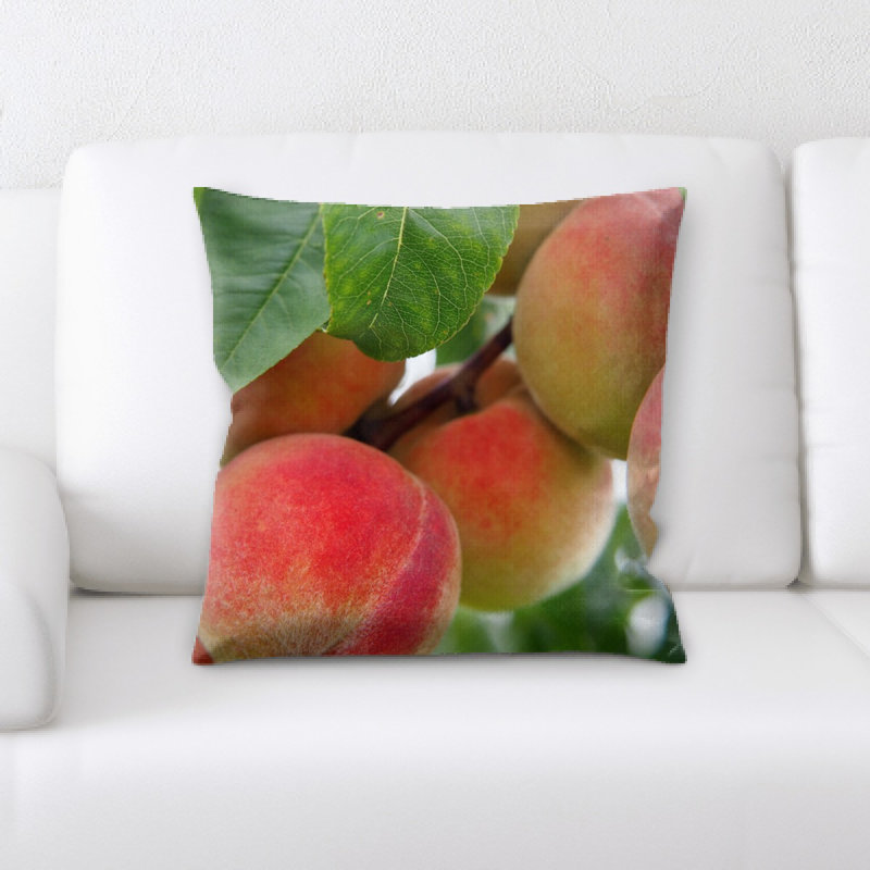 Coussin de pêche